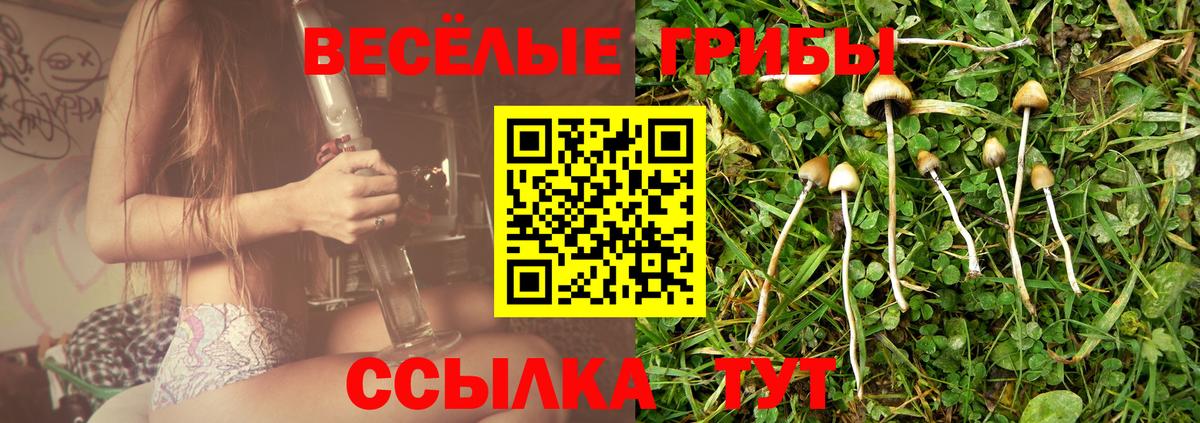 Лесозаводск  Псилоцибиновые грибы прущие грибы  как найти закладки  Вход с VPN  Псилоцибиновые грибы GOLDEN TEACHER 